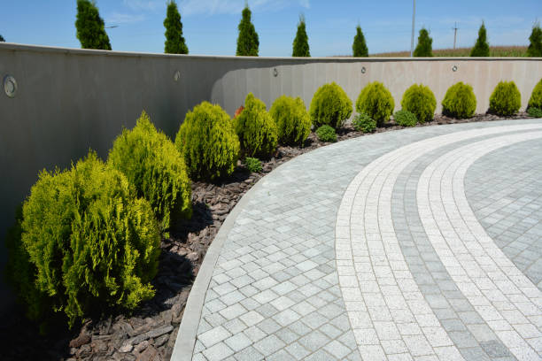 Best Driveway Repair Near Me  in Charter Oak, CA